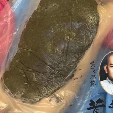 黄飞鸿热灸膏使用案例